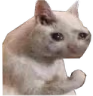 CE_UglyCry3 emote