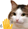 kiisu_wave emote