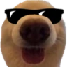 dawg_cool emote