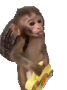 monkeWalk animated emote