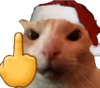catFU emote