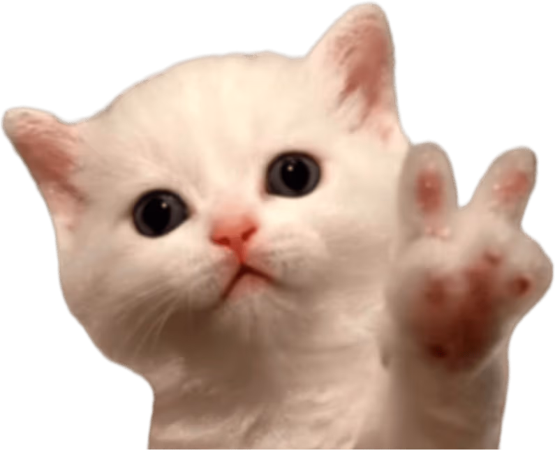 kittenpeace emote