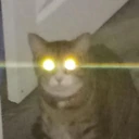 catrage2 emote