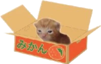 RobertBox emote
