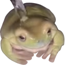 SheeshJulioFrog emote