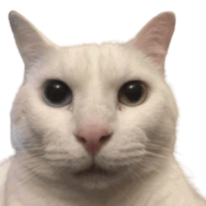 cannycatych avatar