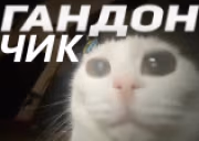 GANDONCHIK emote