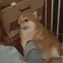 nohornyslap emote