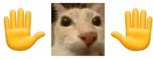 mb emote