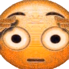 bro_wtf emote