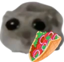 ohhKebab emote