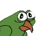 birdgeShit animated emote