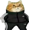 AdidasCat emote