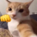 punch emote