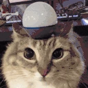 ALERT emote