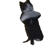 breakdancing_cat emote