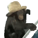 monkeDriving emote