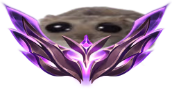amster emote