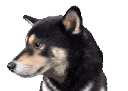 WHERE emote