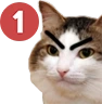 kiisu_pingangry emote