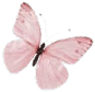 Pink_butterfly emote