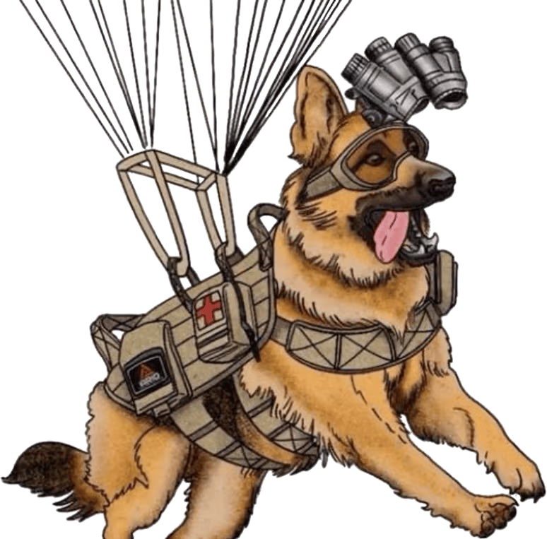 Military_SkyDiveDog emote