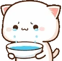 CatCry emote