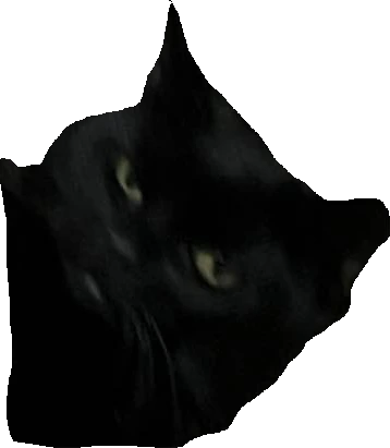 rly emote