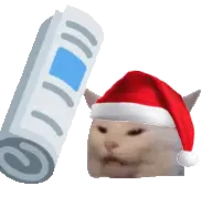 christmas_catbonk emote