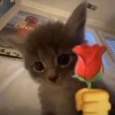 love emote