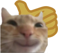 Cat_smilling emoji