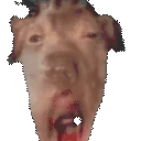 creatureOOOO emote