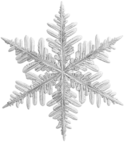 white_snowflake emote
