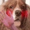 Spaniel_Waving_Welcome emote
