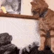 cat_fight emote