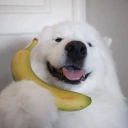 Aloo emote