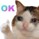 sadCatOK emote