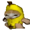 BananaCatRun animated emote
