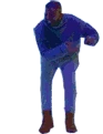 DrakeShoeDust emote