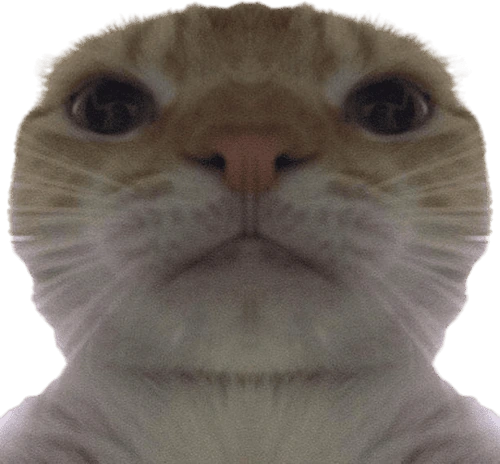 Swag_Cat emote