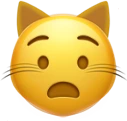 cat_anguished emote
