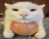 apyl emote