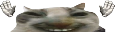 wiresCaught emote