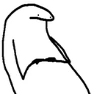 florkyikes emote