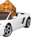 Lambrughini2 emote