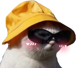 cathatblush emote