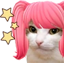 kiisu_kawaii emote