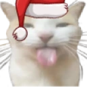 BLEHHH emote