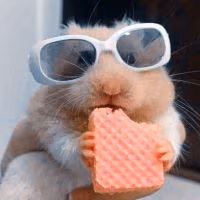 coolhamster2 emote