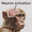 NeuronActivation emote